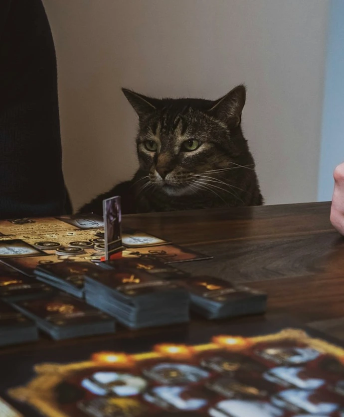 a man and a cat playing a board game